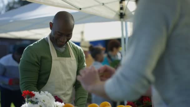 Porte Étals Sympathiques Bavardant Pendant Ils Mettent Produire Marché Fermier — Video