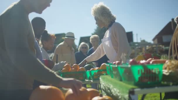 Mulher Alegre Vendendo Frutas Frescas Legumes Para Clientes Mercado Verão — Vídeo de Stock