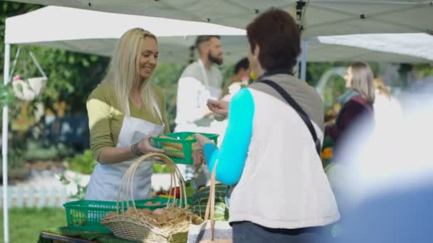 Весела Жінка Продає Свіжі Фрукти Овочі Клієнтам Літньому Ринку — стокове відео