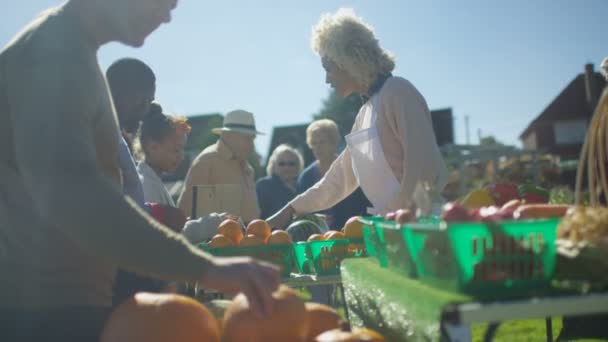 Glad Kvinna Säljer Färsk Frukt Och Grönt Till Kunder Sommarmarknad — Stockvideo