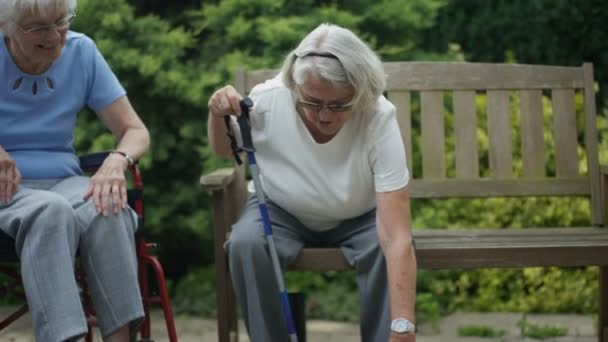 Cheerful Elderly Residents Nursing Home Chatting Laughing Outdoors Garden — Stock Video