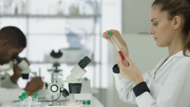 Chercheurs Médicaux Travaillant Ensemble Dans Laboratoire Moderne — Video