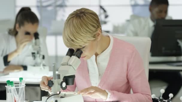 Медицинская Группа Лаборатории Анализирует Образцы Микроскопами — стоковое видео