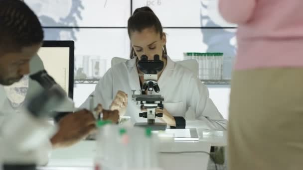 Tıbbi Araştırma Ekibi Modern Laboratuvar Teknolojisi Ile Çalışıyor — Stok video