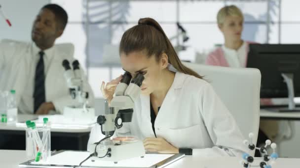 女性医療研究者の実験室での作業の肖像画 — ストック動画