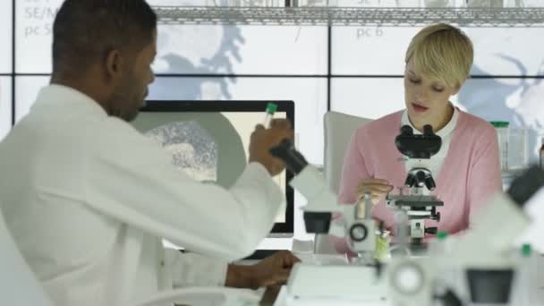 Medische Onderzoekers Werken Samen Moderne Laboratorium — Stockvideo