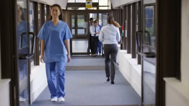 Ärzteteam Diskutiert Beim Gang Durch Den Krankenhausflur — Stockvideo
