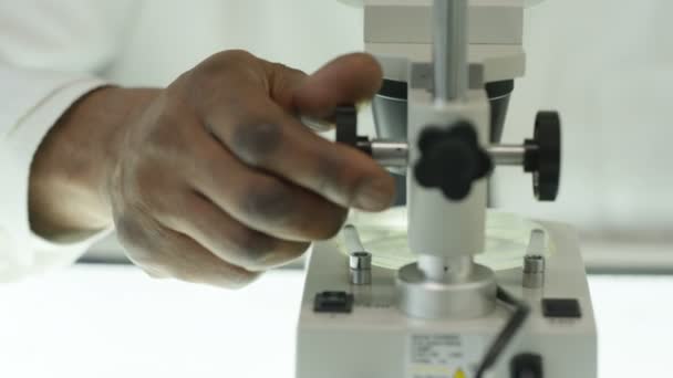 医療の研究者が顕微鏡下でスライドを見て研究室で働いて — ストック動画