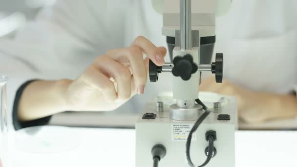 在实验室工作的医学研究员的近距离显微镜观察 — 图库视频影像