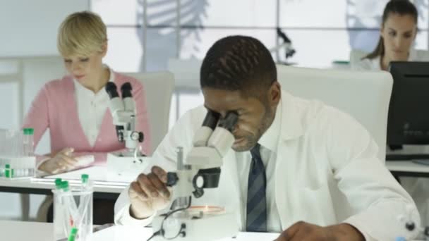 Lékařský Výzkumný Tým Laboratoři Analýzu Vzorků Pod Mikroskopy — Stock video