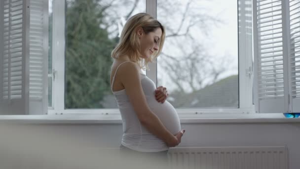 Portrait Pregnant Woman Home Feeling Her Tummy Looking Out Window — Stock Video