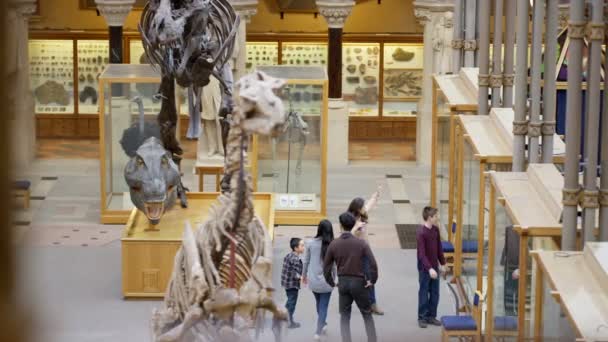 Famílias Visitando Museu História Natural Olhando Para Exposições Dinossauros — Vídeo de Stock