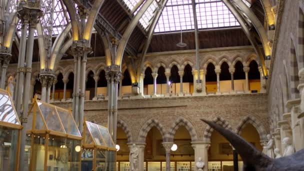 自然历史博物馆室内建筑与恐龙展品观 — 图库视频影像