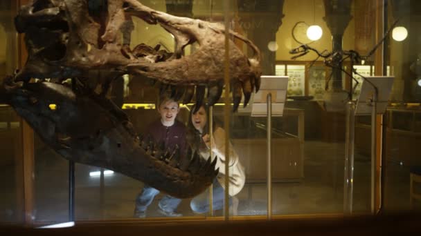 Mor Och Son Naturhistoriska Museet Tittar Genom Glas Dinosaurie Skallen — Stockvideo