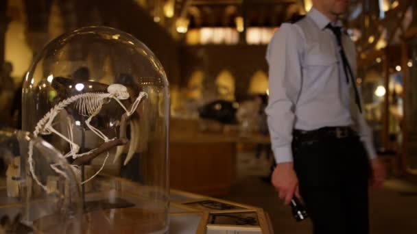 Bezoekers Kijken Naar Exposities Het Museum Met Aap Skelet Voorgrond — Stockvideo