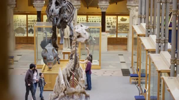 Familles Visitant Musée Histoire Naturelle Regardant Les Expositions Dinosaures — Video