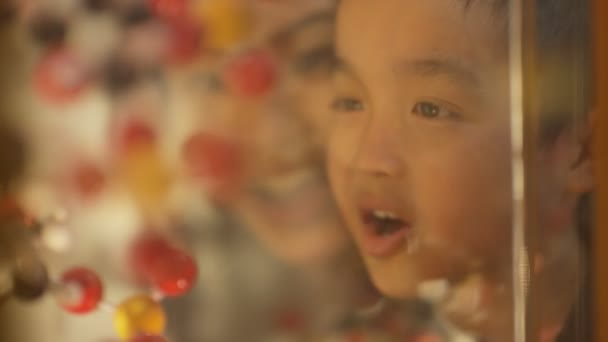 Close Gezichten Van Kleine Jongen Moeder Zoek Naar Glas Kabinet — Stockvideo