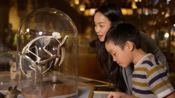 自然历史博物馆的母亲和儿子看着玻璃瓶内的骨架 — 图库视频影像