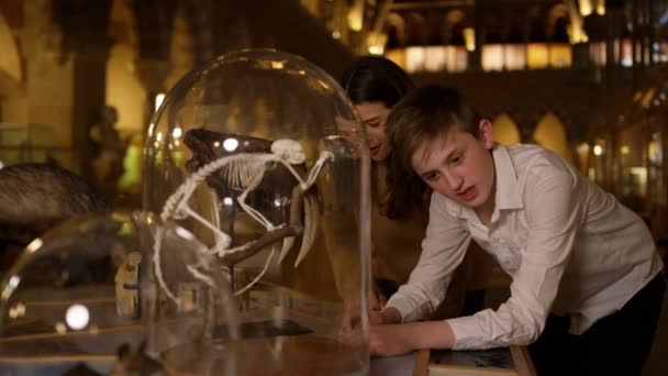 自然历史博物馆的母亲和儿子看着玻璃瓶内的骨架 — 图库视频影像