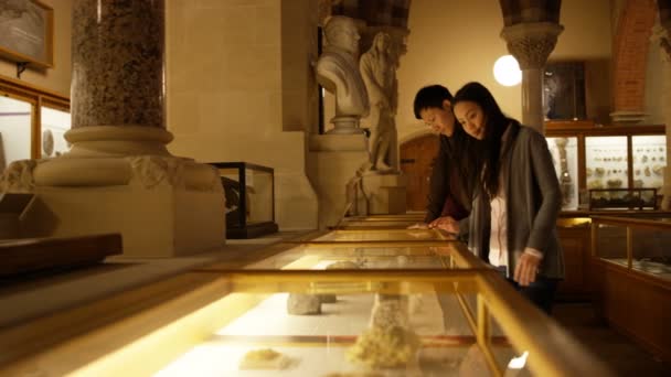 亚洲夫妇在自然历史博物馆寻找玻璃陈列柜 — 图库视频影像