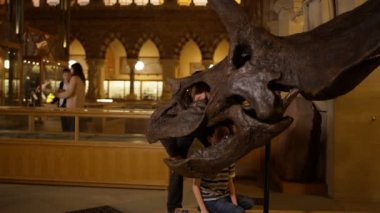 4 k baba ve oğlu bir dinozor iskeleti seyir Doğal Tarih Müzesi'nde