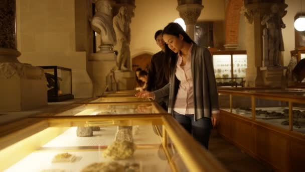 Casal Asiático Museu História Natural Olhando Para Vitrine Vidro — Vídeo de Stock