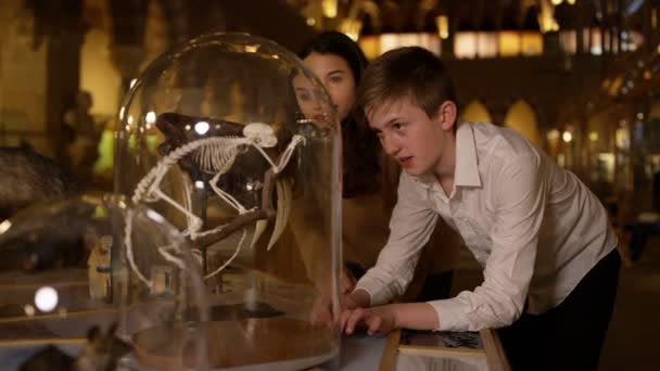 Madre Hijo Museo Historia Natural Mirando Esqueleto Dentro Frasco Vidrio — Vídeos de Stock