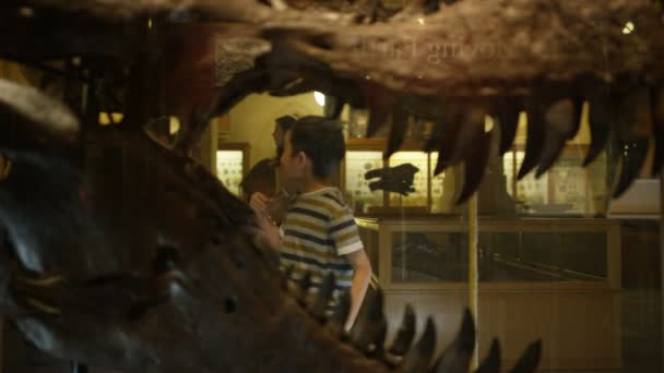 Familj Naturhistoriska Museet Tittar Genom Glas Dinosaurie Skallen — Stockvideo