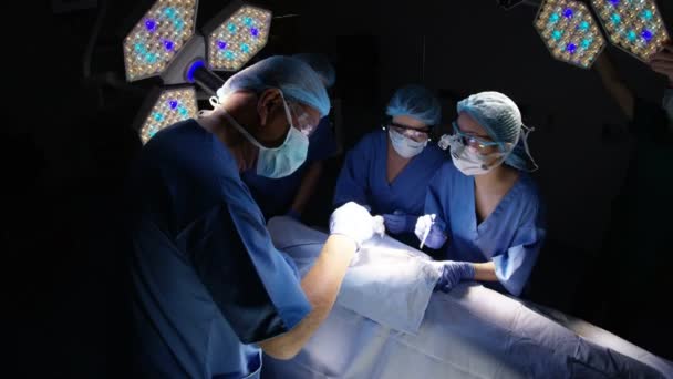 High Angle View Team Surgeons Operating Patient Theater — Stock Video