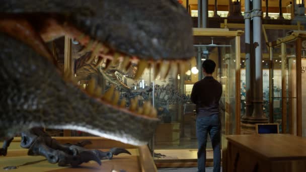 Мать Сын Музее Смотрят Реконструированную Модель Динозавра — стоковое видео