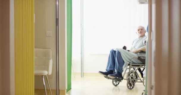 Caring Medical Worker Pushing Elderly Man Hospital Wheelchair — Stock Video