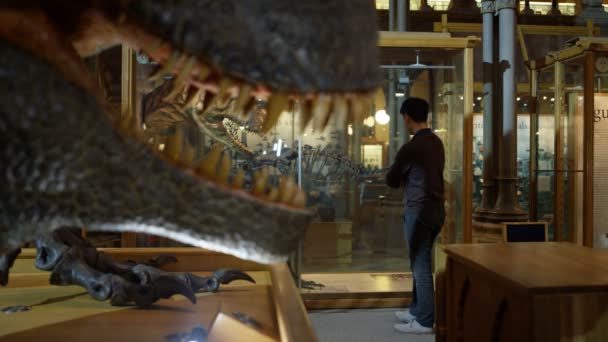 フォア グラウンドで恐竜の復元模型の博物館の訪問者 — ストック動画