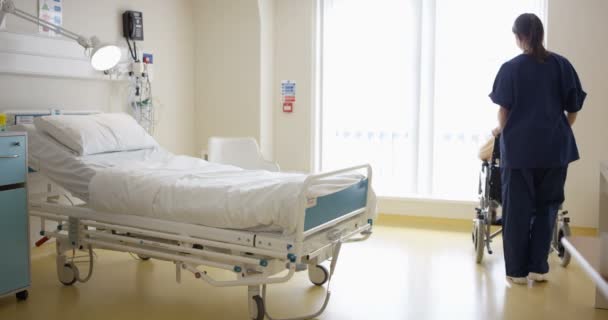 坐轮椅的高级女士被医务人员带进私人房间 — 图库视频影像
