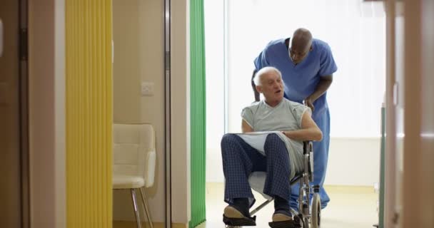 Caring Medical Worker Pushing Elderly Man Hospital Wheelchair — Stock Video