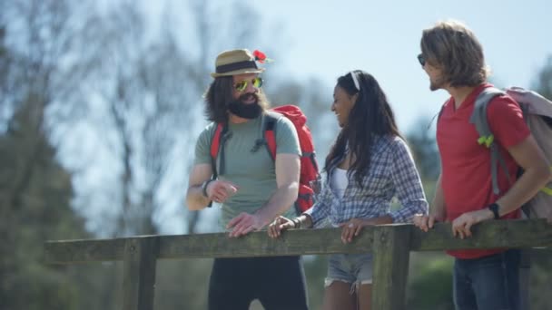 Carefree Hipster Amigos Caminhadas Parar Para Dar Uma Olhada Vista — Vídeo de Stock