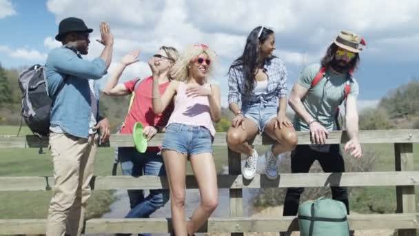 Porträt Einer Glücklichen Gruppe Von Hipster Freunden Auf Einem Sommerlichen — Stockvideo
