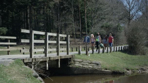 Bederní Přátelé Venkově Festival Nebo Výlet — Stock video