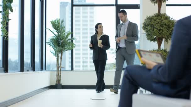 Blandad Etnicitet Affärsgrupp Arbetar Chattar Och Promenader Genom Office — Stockvideo