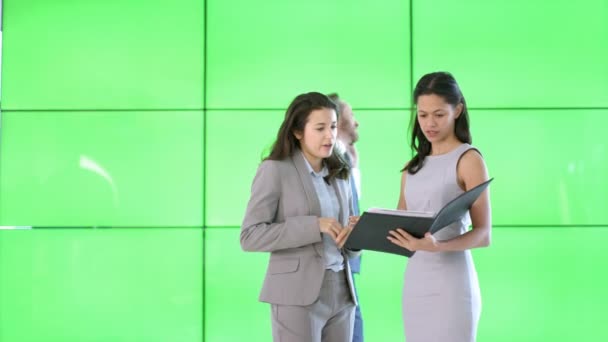 Businesswomen Discussion Modern Office Green Screen Background — Stock Video