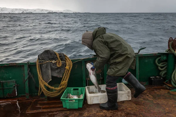 海での極端な釣り — ストック写真