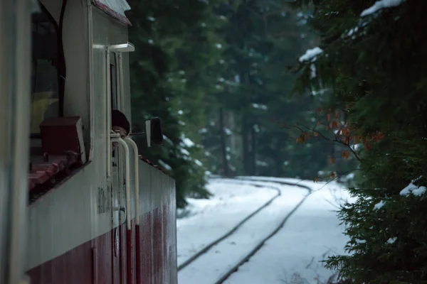 bir trende dağlarda karayoluyla yolculuk