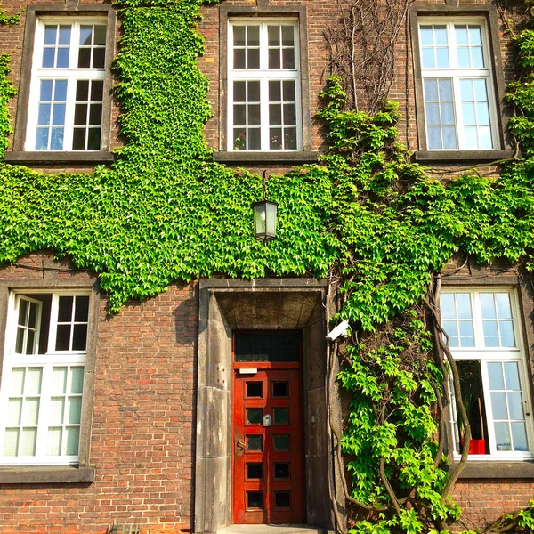 Picture of many windows outdoors on the brick building — Stock Photo, Image