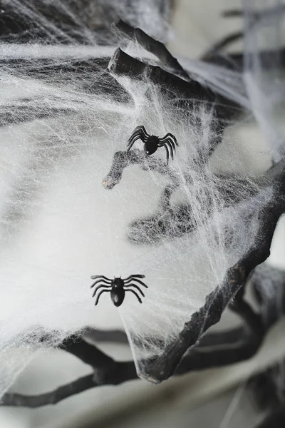 Spiderweb ile iki örümcek fotoğrafı