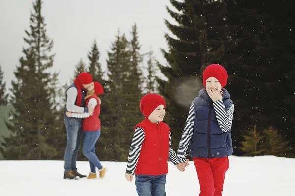 母亲、父亲和两个儿子在雪冬中玩得很开心 — 图库照片