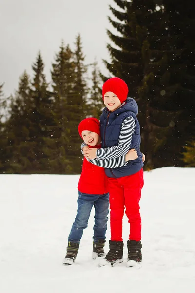 年轻的两个快乐的孩子在冬季公园户外玩耍 — 图库照片