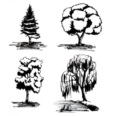 resimde siyah ağaç