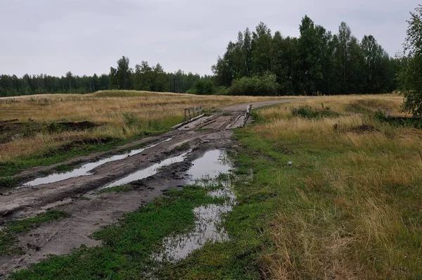 köy yolunda fotoğrafı