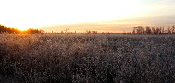 Sunrise kış alanın üzerinde fotoğraf