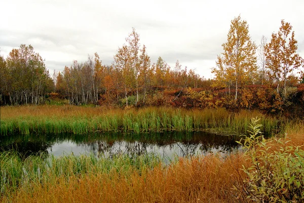 Foto del lago en la tundra otoño —  Fotos de Stock