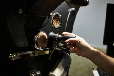 Kahve Kızartma Teknolojisi. Profesyonel kahve kızartma makinesindeki kahveyi bir adam kontrol ediyor. Yakın plan..